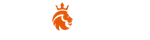 Logo Nine Casino en-tête